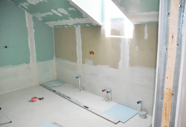 Best Mold-Related Health Consultation  in Fowlerville, MI