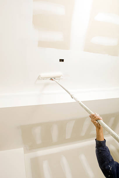 Best Mold Odor Removal Services  in Fowlerville, MI
