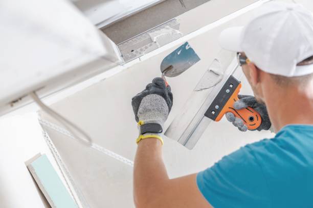 Best Indoor Air Quality Assessment  in Fowlerville, MI